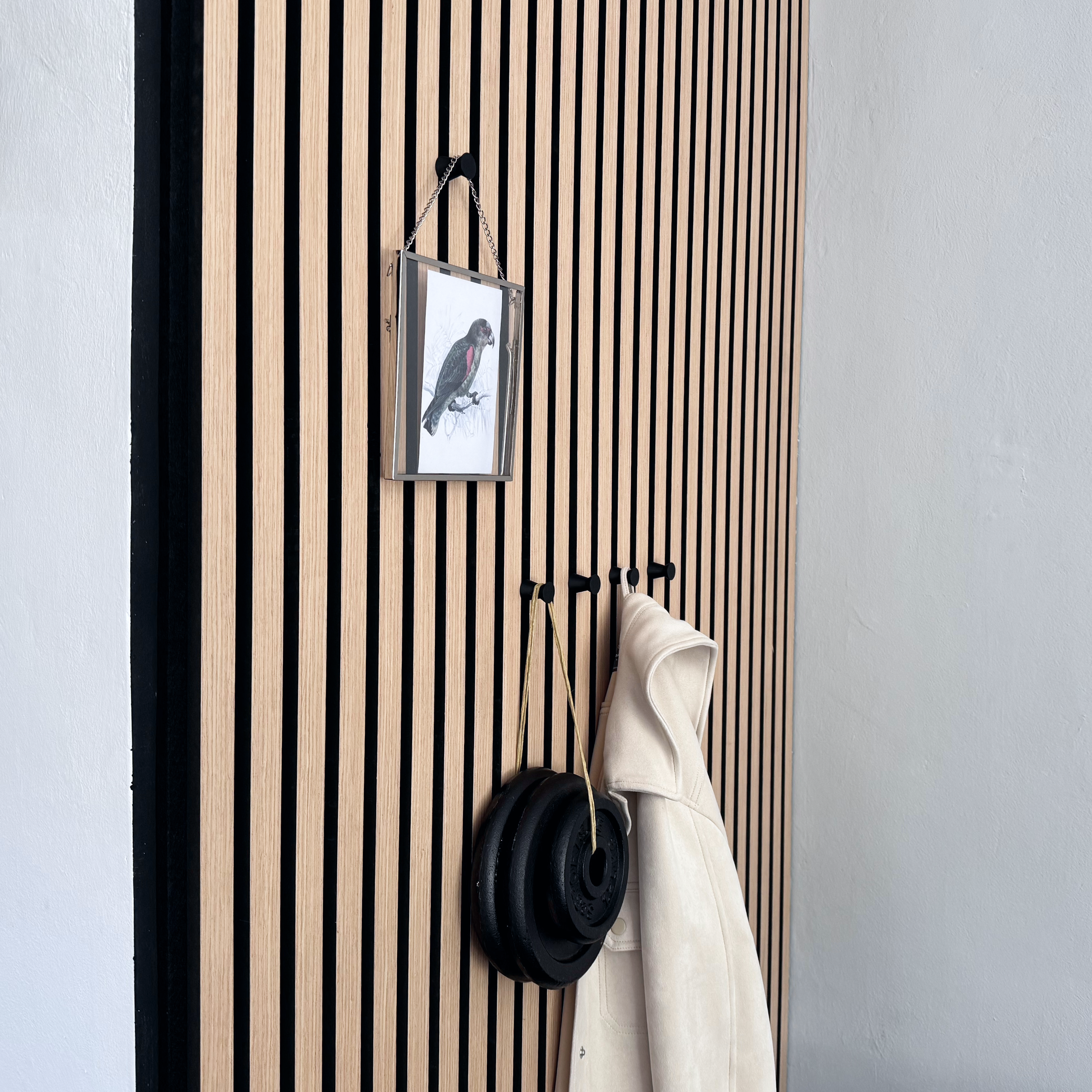 Round coat hooks for acoustic panels in various designs