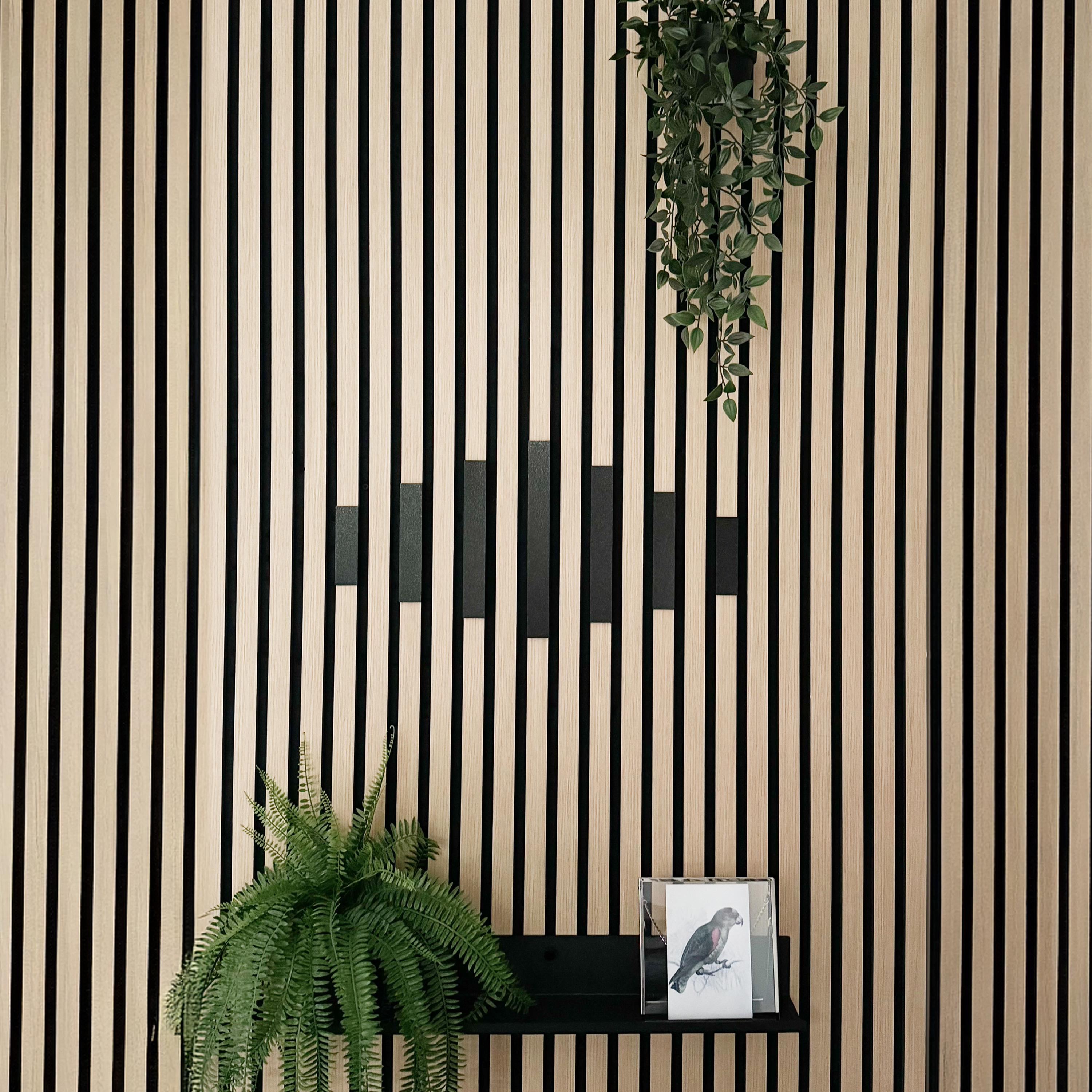 Dekoleiste [CREA] - Set