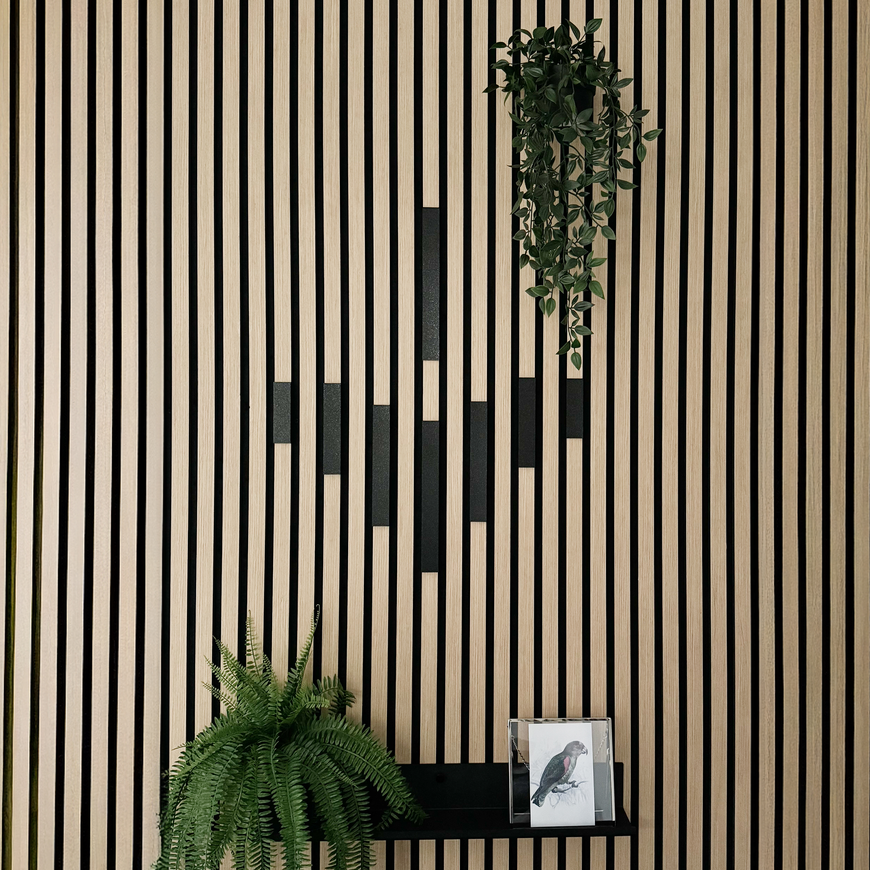 Dekoleiste [CREA] - Set