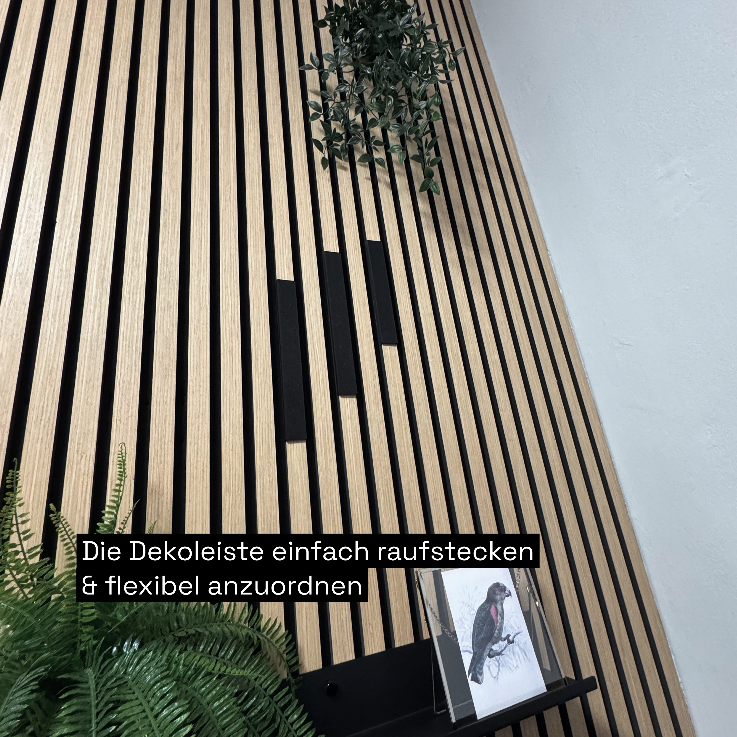 Dekoleiste [CREA] - Set