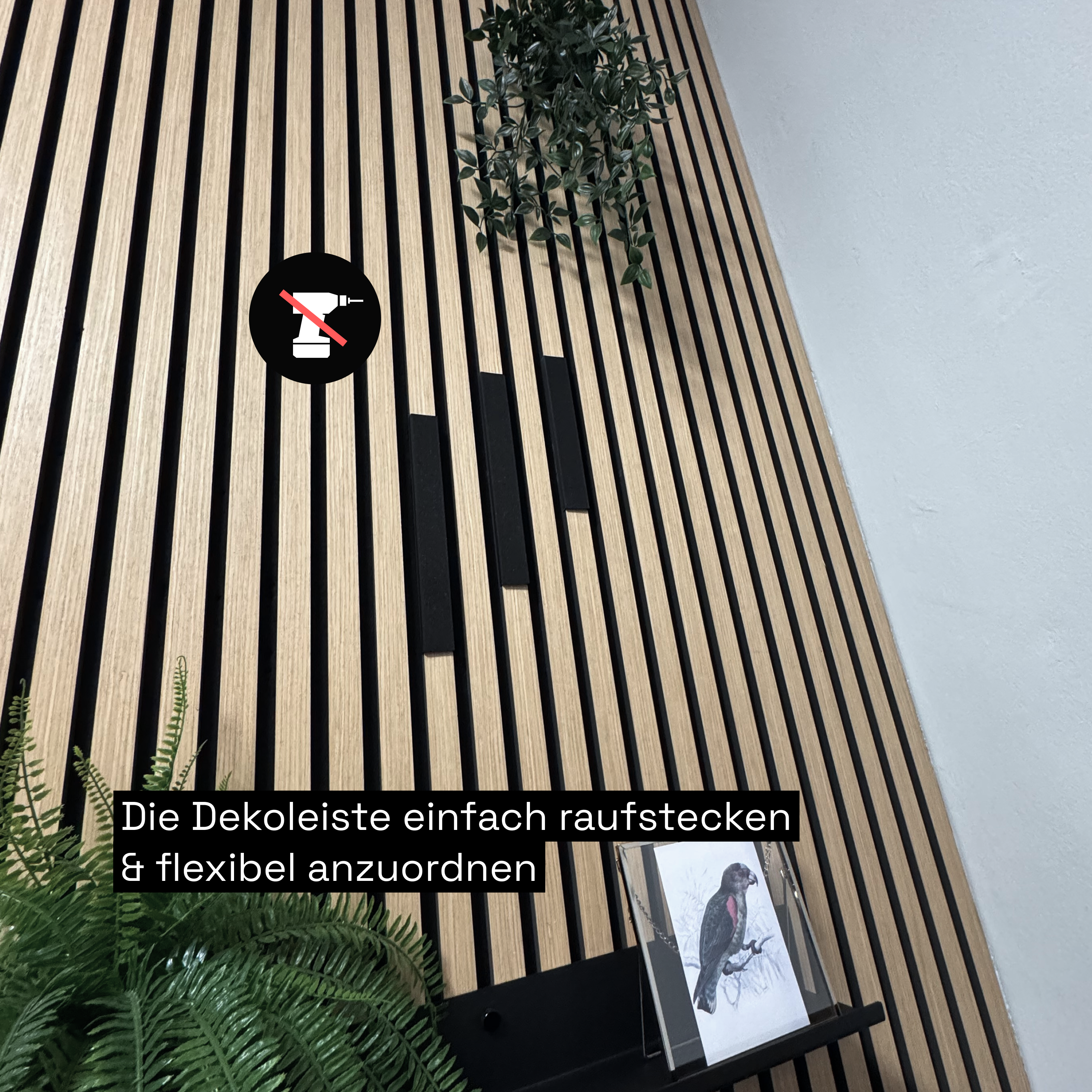 Dekoleiste [CREA] - Set