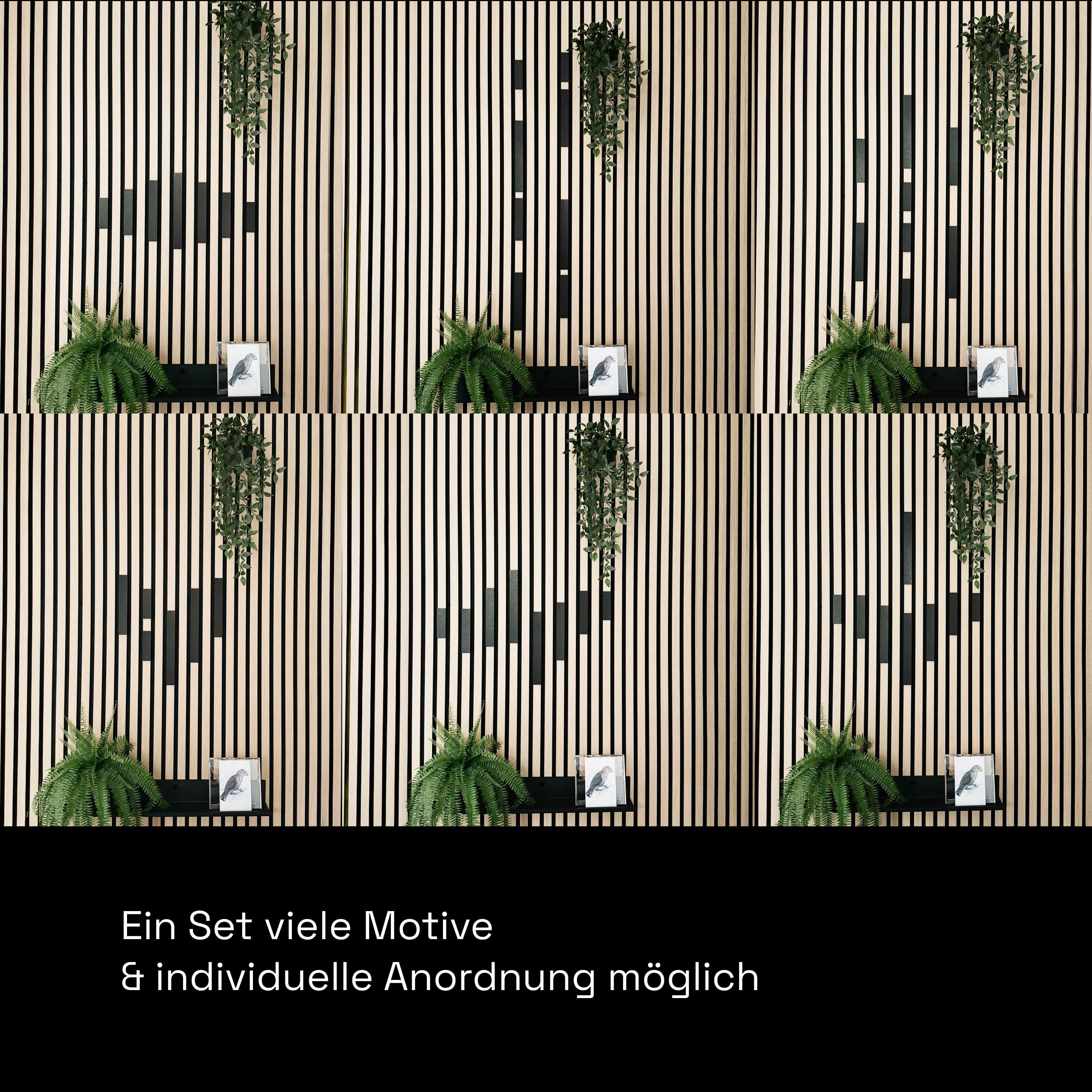 Dekoleiste [CREA] - Set