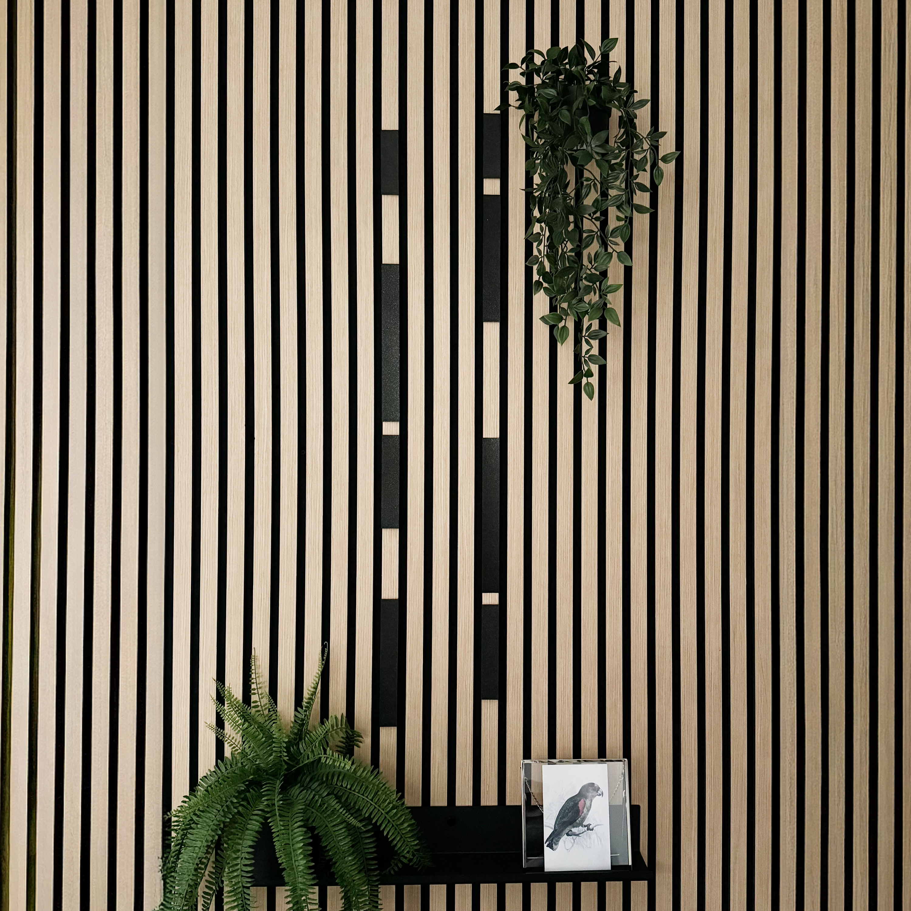 Dekoleiste [CREA] - Set