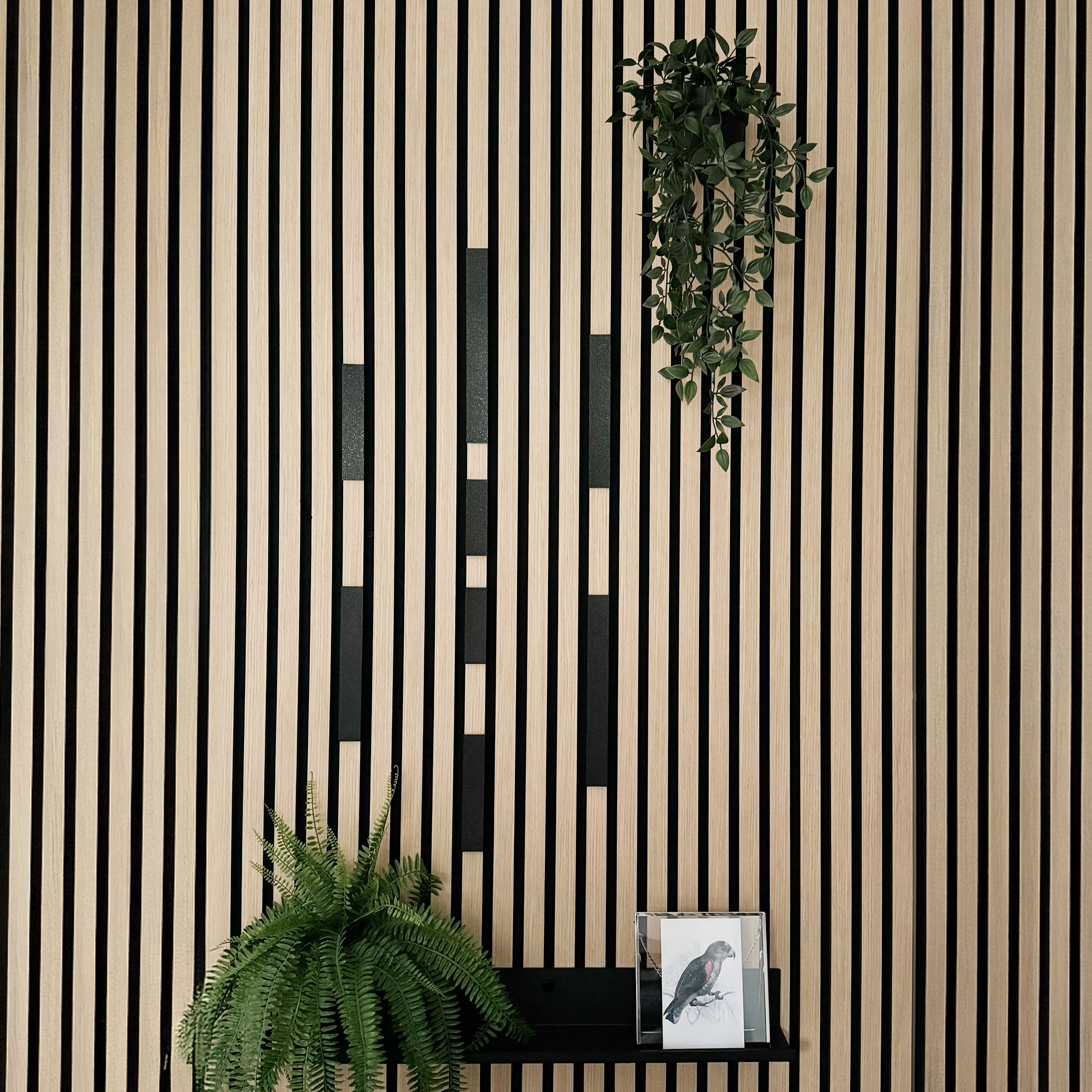 Dekoleiste [CREA] - Set