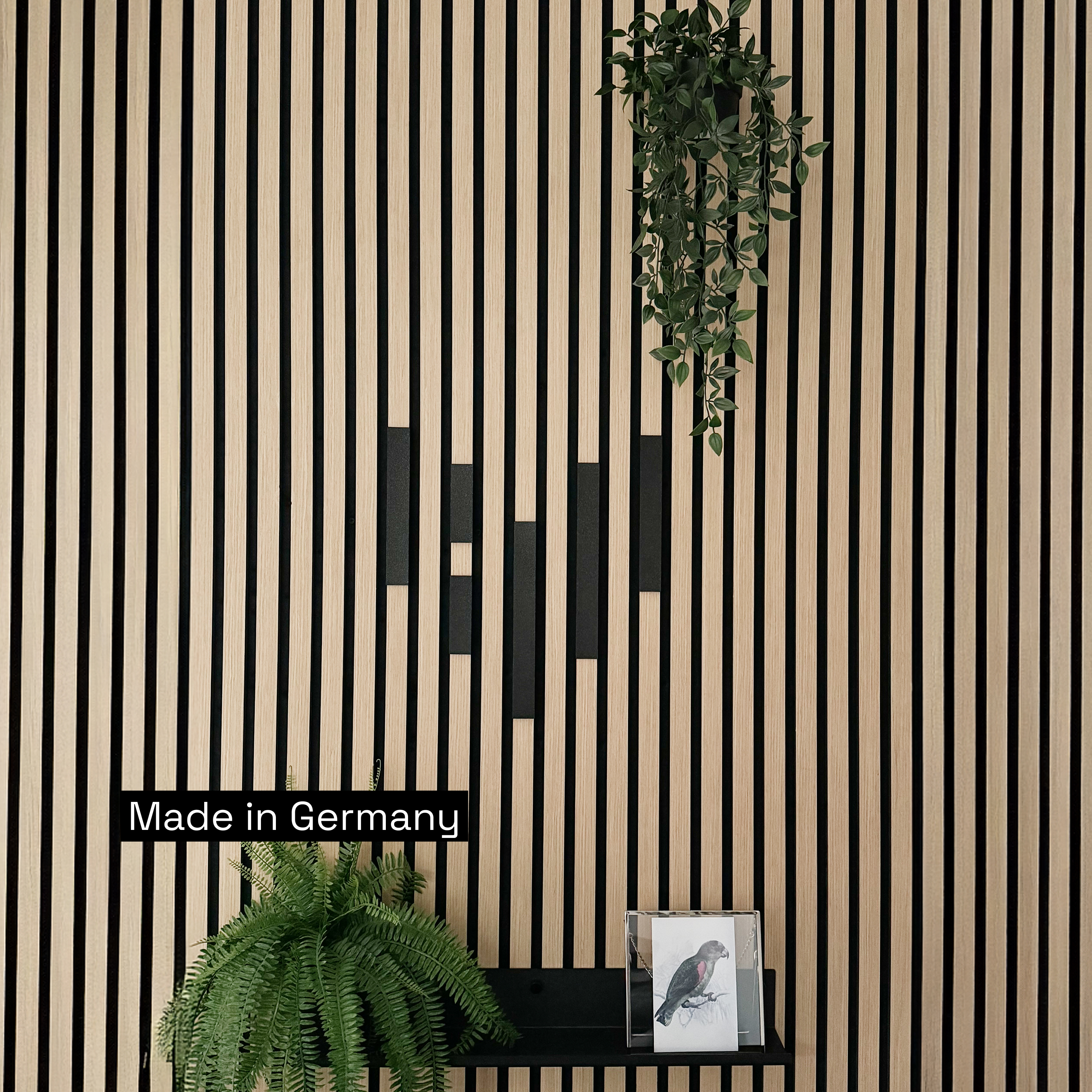 Dekoleiste [CREA] - Set