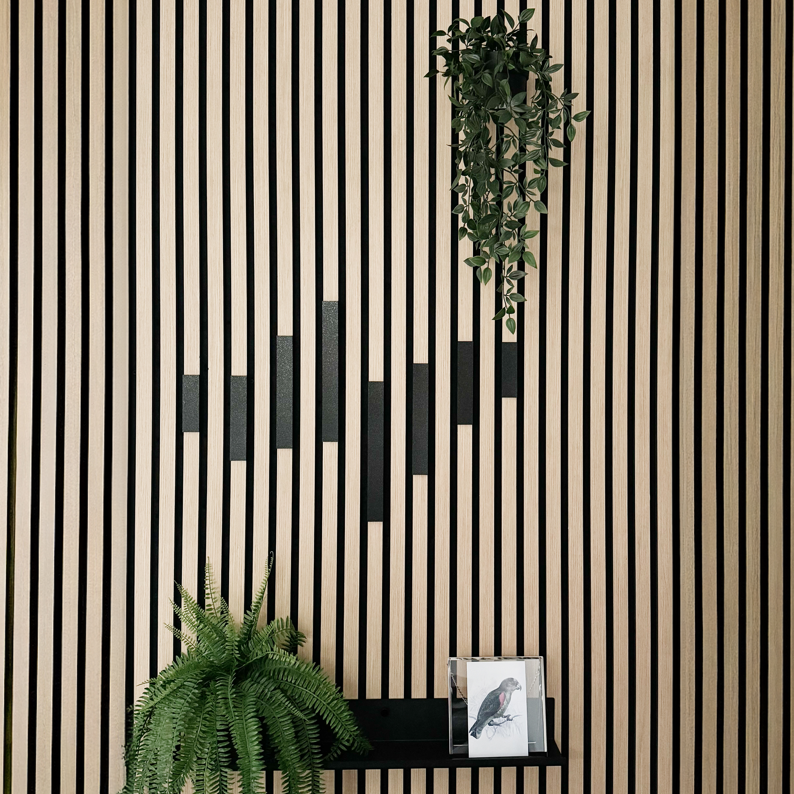 Dekoleiste [CREA] - Set